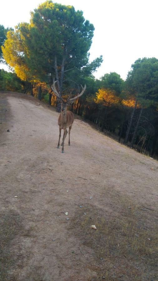 La Isabelita Βίλα Andújar Εξωτερικό φωτογραφία
